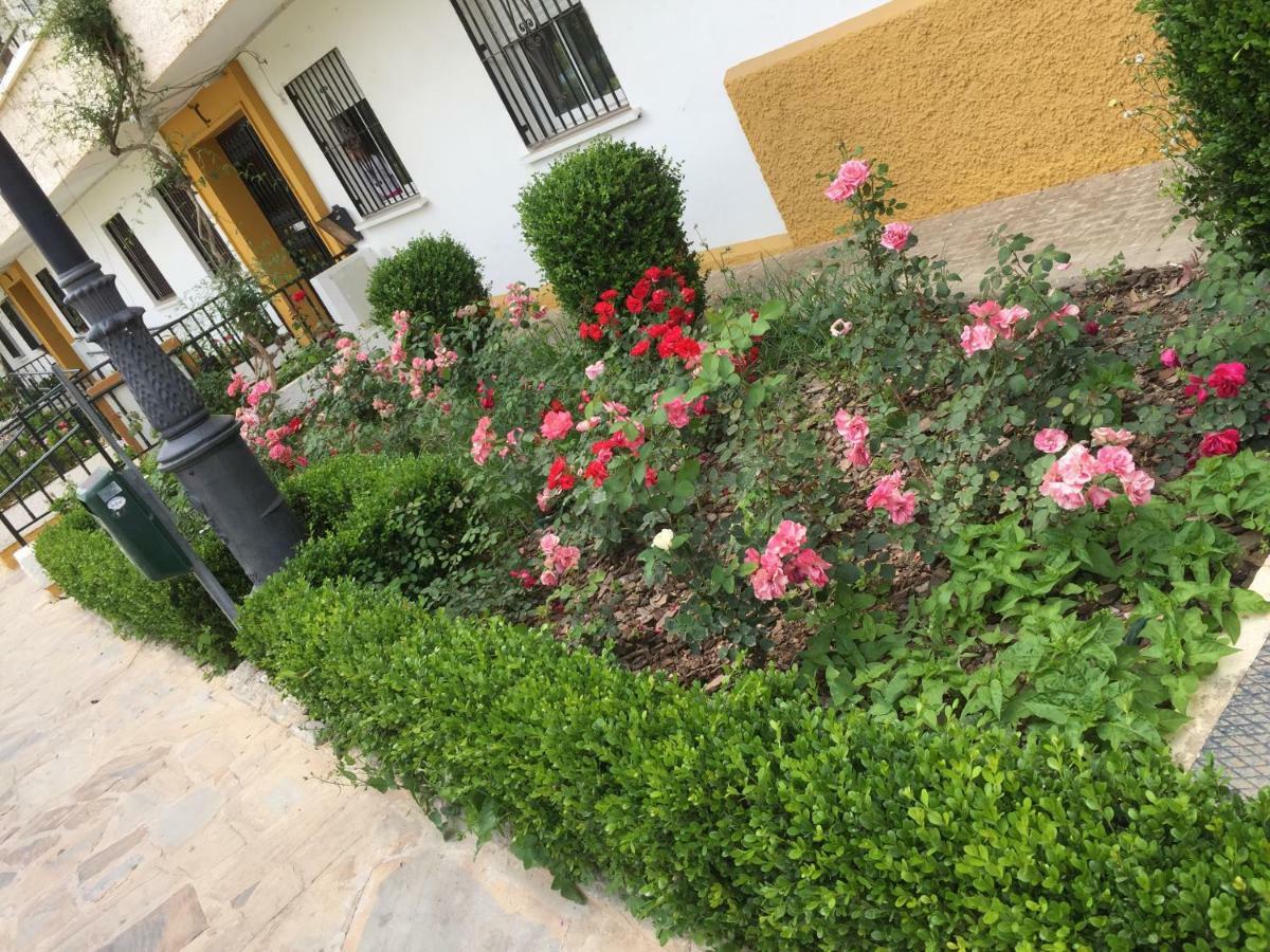Panoramic City Center Flat In Arroyo De La Miel Exterior foto